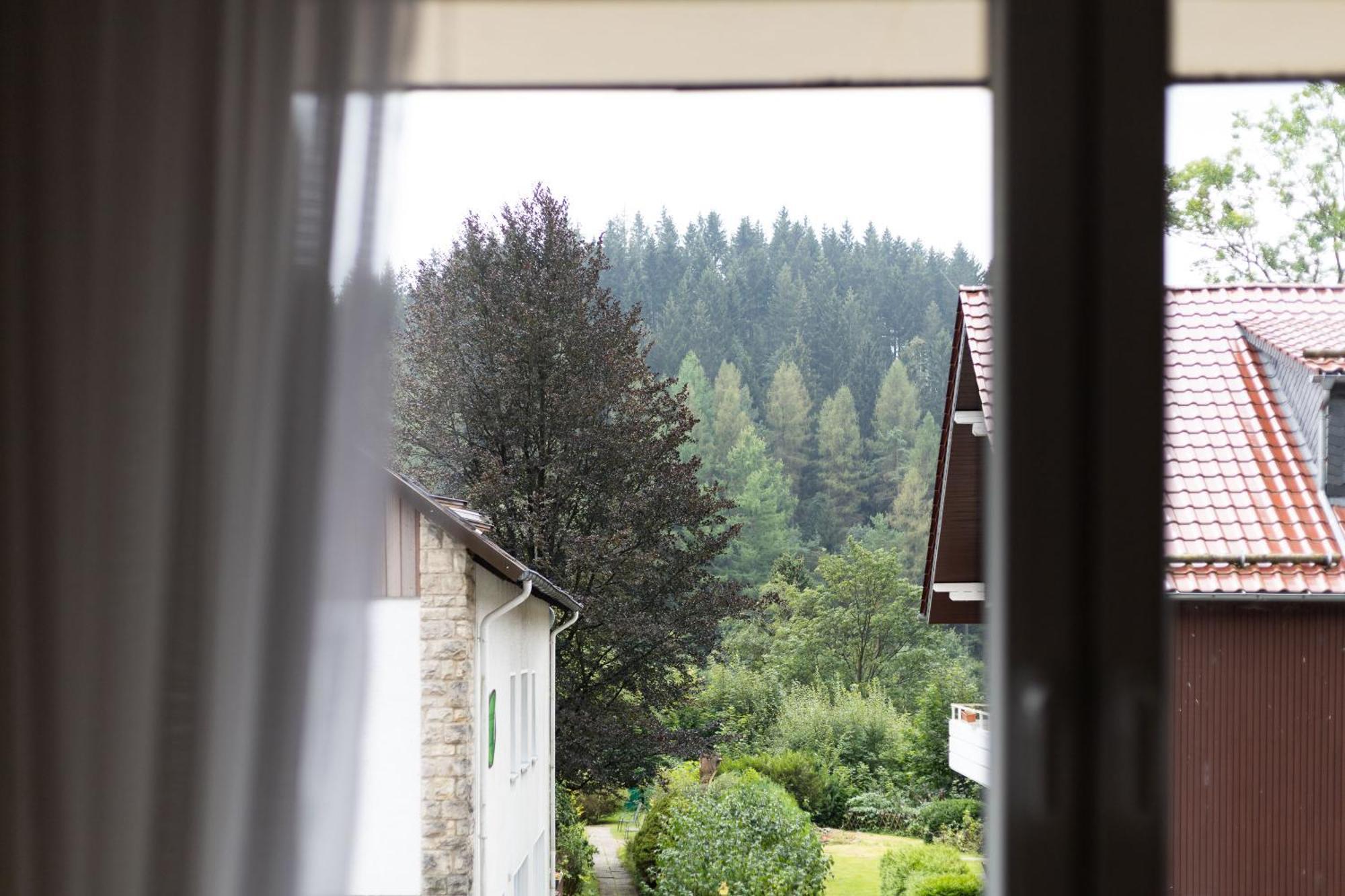 Apartmenthaus Am Waldrand- Kueche - Fruehstueck - Balkon Wildemann Eksteriør bilde